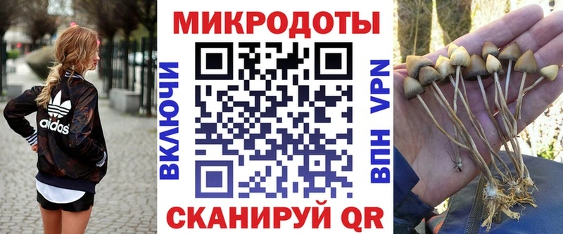 Псилоцибиновые грибы Magic Shrooms MEGA ссылка Тобольск
